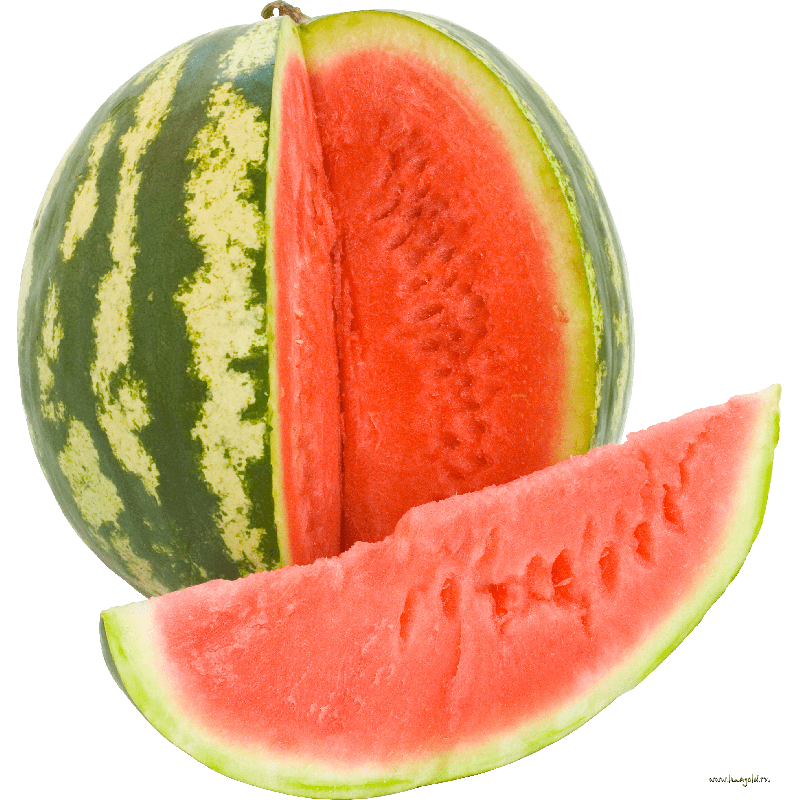 24-watermelon-png-image_800x800